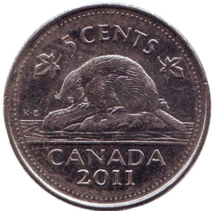 Монета 5 центов, 2011 год, Канада. Бобр.