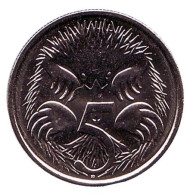 Монета 5 центов. 2016 год, Австралия. Ехидна. Монета 5 центов. 2016 год, Австралия. Ехидна.