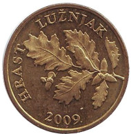 Монета 5 лип. 2009 год, Хорватия. Дуб черешчатый. Монета 5 лип. 2009 год, Хорватия. Дуб черешчатый.