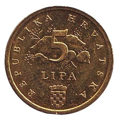 Монета 5 лип. 2015 год, Хорватия. Дуб черешчатый.