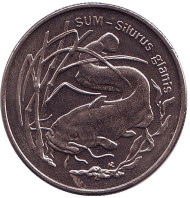 Монета 2 злотых. 1995 год, Польша. Сом. Монета 2 злотых. 1995 год, Польша. Сом.