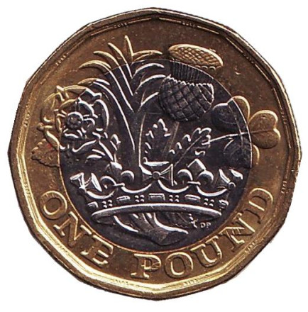 Монета 1 фунт. 2019 год, Великобритания.