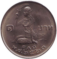 Монета 1 бат. 1977 год, Таиланд. FAO. Рисосеяние. Монета 1 бат. 1977 год, Таиланд. FAO. Рисосеяние.