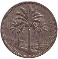 Монета 50 филсов. 1969 год. Ирак. Пальмовые деревья. Монета 50 филсов. 1969 год. Ирак. Пальмовые деревья.
