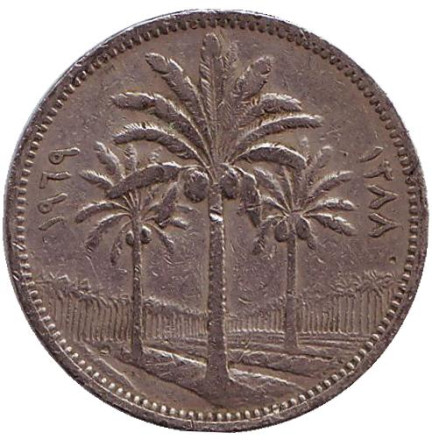 Монета 50 филсов. 1969 год. Ирак. Пальмовые деревья.