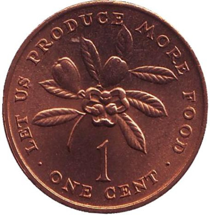 Монета 1 цент. 1973 год, Ямайка. Аки. (Блигия вкусная). ФАО.
