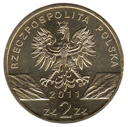 Монета 2 злотых, 2011 год, Польша. Барсук.