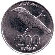 Монета 200 рупий. 2003 год, Индонезия. Балийский скворец. Монета 200 рупий. 2003 год, Индонезия. Балийский скворец.
