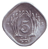 Монета 5 пайсов. 1983 год, Пакистан. Монета 5 пайсов. 1983 год, Пакистан.