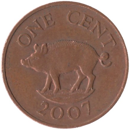 Монета 1 цент. 2007 год, Бермудские острова. Поросенок. Магнитная. 