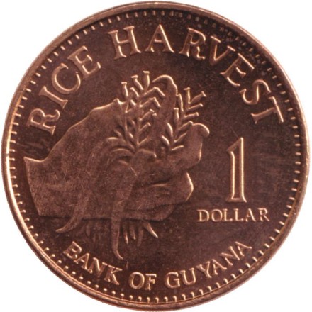 Монета 1 доллар. 2015 год, Гайана. Урожай риса. Монета 1 доллар. 2015 год, Гайана. Урожай риса.