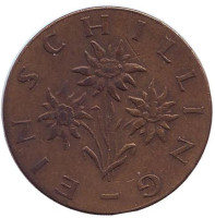 Эдельвейс. Монета 1 шиллинг. 1966 год, Австрия.