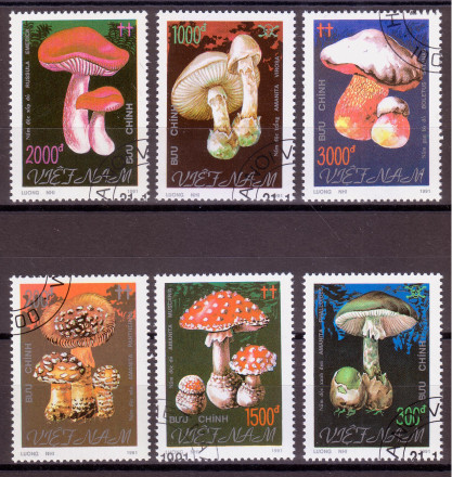 Ядовитые грибы. Марки почтовые. Серия из 6 штук. 1991 год, Вьетнам.