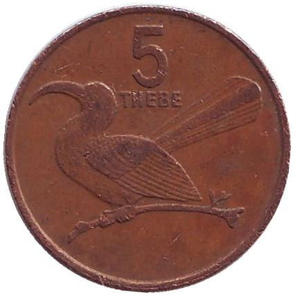 Монета 5 тхебе. 1988 год, Ботсвана. Птица-носорог.