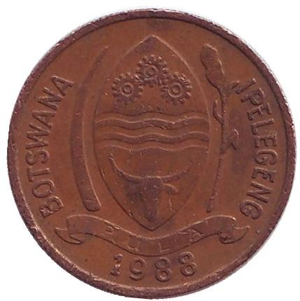 Монета 5 тхебе. 1988 год, Ботсвана. Птица-носорог.