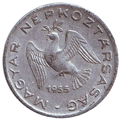 Монета 10 филлеров. 1955 год, Венгрия. Монета 10 филлеров. 1955 год, Венгрия.