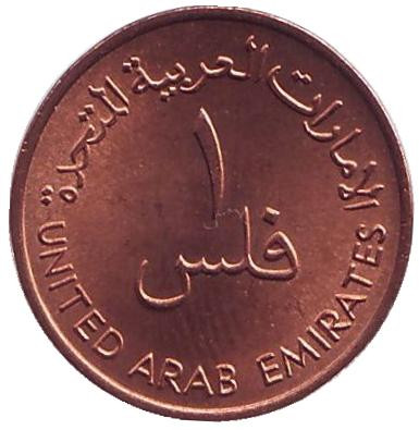 1fils-2.jpg 1fils-2.jpg