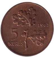 Монета 5 курушей. 1965 год, Турция. Дубовая ветвь. Монета 5 курушей. 1965 год, Турция. Дубовая ветвь.