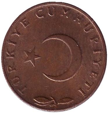 Монета 5 курушей. 1965 год, Турция. Дубовая ветвь.