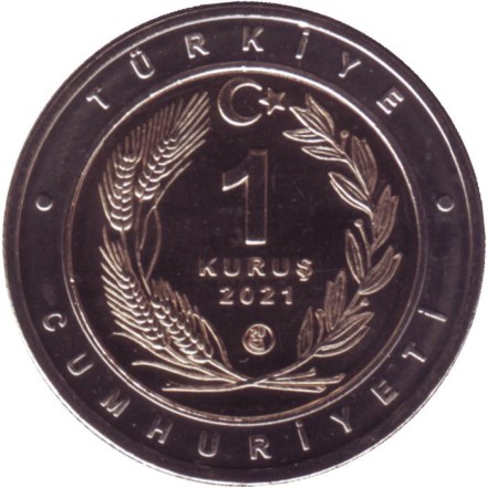 Монета 1 куруш. 2021 год, Турция. Каталбурун.