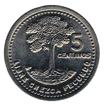 Монета 5 сентаво. 1994 год, Гватемала. Хлопковое дерево.