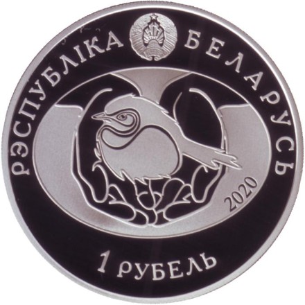Монета 1 рубль. 2020 год, Беларусь. Глухарь. Птица года.