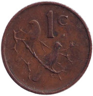 Монета 1 цент. 1968 год, ЮАР. (South Africa) Окончание президентства Чарльза Сварта. Воробьи. Монета 1 цент. 1968 год, ЮАР. (South Africa) Окончание президентства Чарльза Сварта. Воробьи.