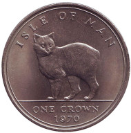 Монета 1 крона. 1970 год, Остров Мэн. Мэнкс. Кошка. Монета 1 крона. 1970 год, Остров Мэн. Мэнкс. Кошка.