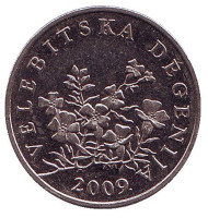 Монета 50 лип. 2009 год, Хорватия. Дегения велебитская. Монета 50 лип. 2009 год, Хорватия. Дегения велебитская.