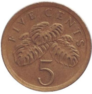 Монета 5 центов. 1989 год, Сингапур. Монстера деликатесная. Монета 5 центов. 1989 год, Сингапур. Монстера деликатесная.