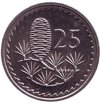 Монета 25 миллей. 1982 год. Кипр. UNC. Ливанский кедр.