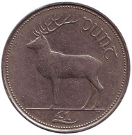 Монета 1 фунт. 1996 год, Ирландия. Олень. Монета 1 фунт. 1996 год, Ирландия. Олень.