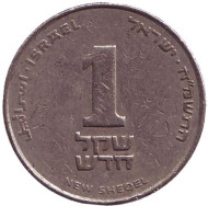 Монета 1 новый шекель. 1988 год, Израиль. Монета 1 новый шекель. 1988 год, Израиль.