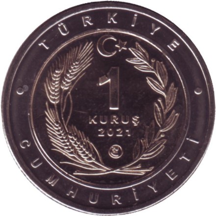Монета 1 куруш. 2021 год, Турция. Каракал.