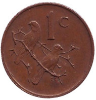Монета 1 цент. 1974 год, ЮАР. Воробьи. Монета 1 цент. 1974 год, ЮАР. Воробьи.