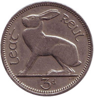 Монета 3 пенса. 1963 год, Ирландия. Заяц. Монета 3 пенса. 1963 год, Ирландия. Заяц.