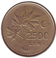 Монета 2500 лир. 1991 год, Турция.