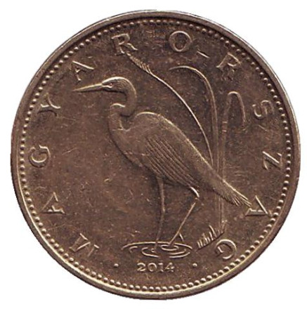 Монета 5 форинтов. 2014 год, Венгрия. Большая белая цапля.