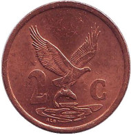 Монета 2 цента. 1999 год, ЮАР. Орёл. Монета 2 цента. 1999 год, ЮАР. Орёл.
