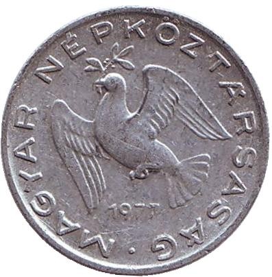 Монета 10 филлеров. 1977 год, Венгрия. Монета 10 филлеров. 1977 год, Венгрия.