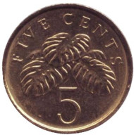 Монета 5 центов. 2012 год, Сингапур. Монстера деликатесная. Монета 5 центов. 2012 год, Сингапур. Монстера деликатесная.
