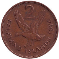 Магелланов гусь. Монета 2 пенса. 1974 год, Фолклендские острова. 