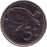 Свиноносая черепаха. Монета 5 тойа, 2009 год, Папуа-Новая Гвинея.