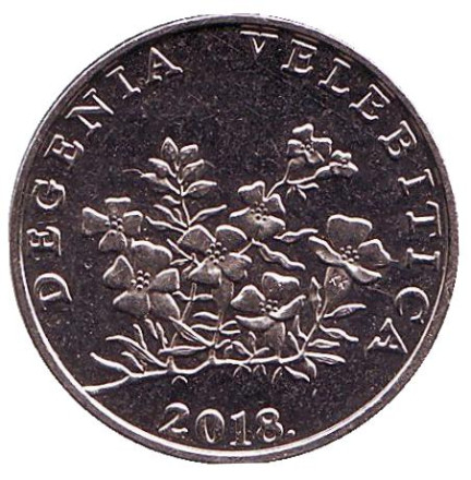 Монета 50 лип. 2018 год, Хорватия. Дегения велебитская.