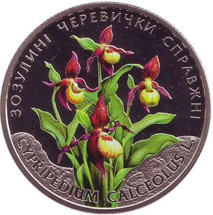 Монета 2 гривны. 2016 год, Украина. Венерин башмачок. (Кукушкины башмачки).