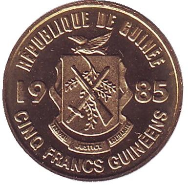 Монета 5 франков. 1985 год, Гвинея. Пальмовая ветвь. Монета 5 франков. 1985 год, Гвинея. Пальмовая ветвь.