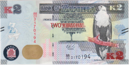 Банкнота 2 квача. 2020 год, Замбия. Орлан-крикун.