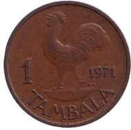 Монета 1 тамбала, 1971 год, Малави. Петух. Монета 1 тамбала, 1971 год, Малави. Петух.