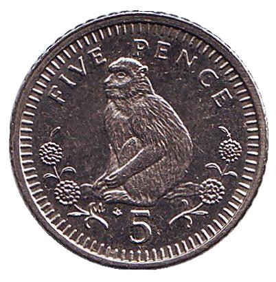 Монета 5 пенсов. 1992 год, Гибралтар. (AB) Варварийская обезьяна.