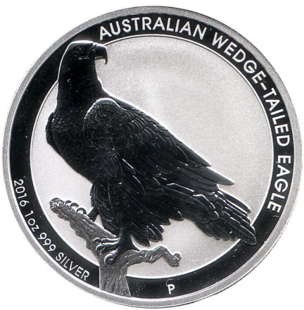 Монета 1 доллар. 2016 год, Австралия. Клинохвостый орёл.